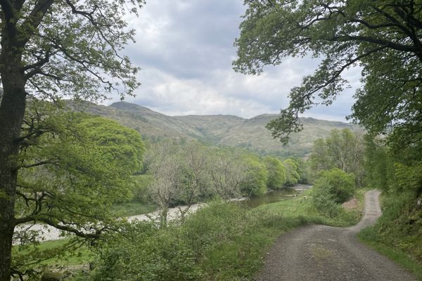 Day 3 – Rocks, Boulders, Tree Roots and Pain on the West Highland Way