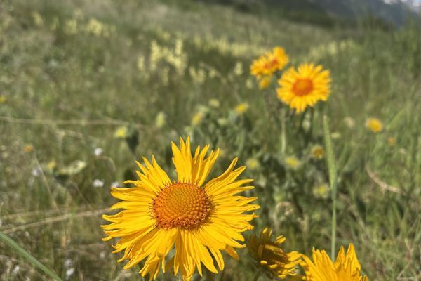 Glacier National Park pt. 2