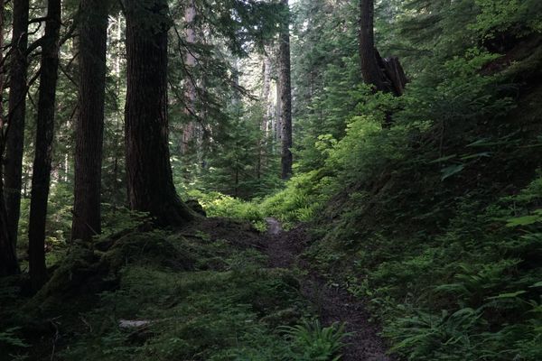 Public Lands Sale Once Again Removed From Spending Bill Amid Backlash