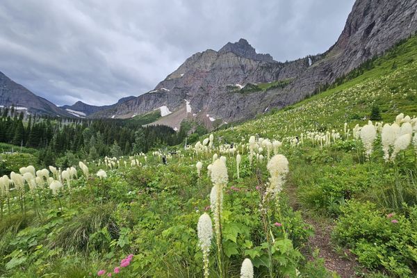 Glacier National Park Part Two