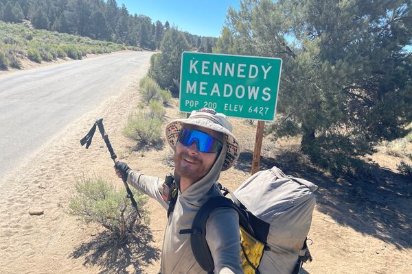 Skunks in Kennedy Meadows