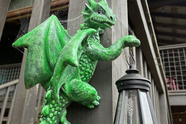 Enter the Green Dragon