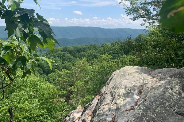 Week 11: knobs, gnats and never-ending mountains