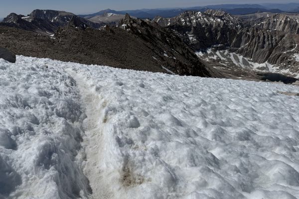 Pretzel Enters the Sierra!