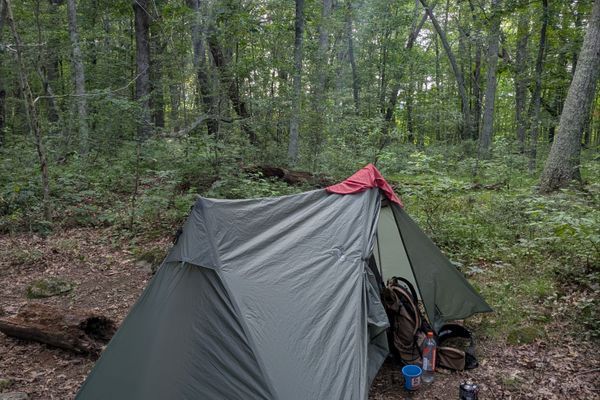 A Walk in the Woods (ECT Day 169)