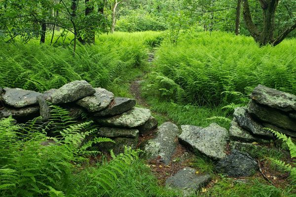 Massachusetts – Spectacular Bookends