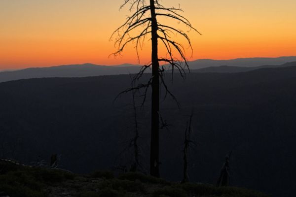 Tahoe to Chester – Through the Burn