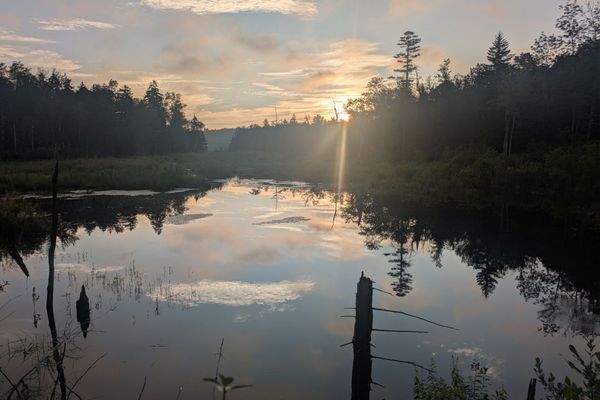 Quick Jaunt to Cheshire (ECT Day 176)