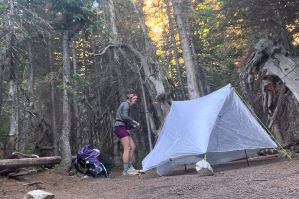 CDT JOY: Solo Camping in Grizzly Country