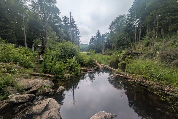 Vermont: The Phantom Mud (ECT Day 178)