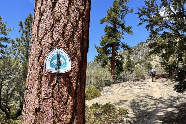 PCT: Done with the Desert!