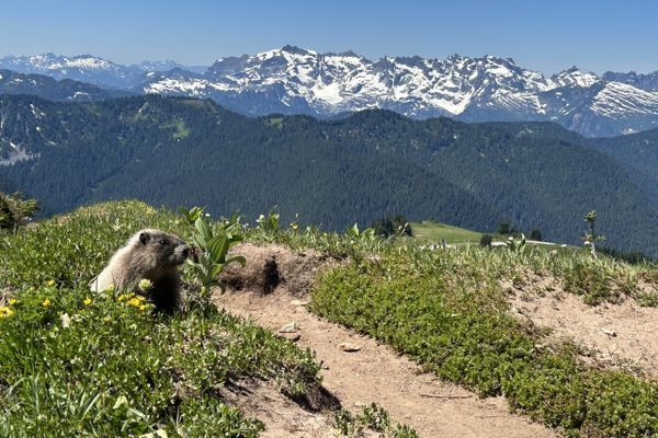 PCT SOBO DAY 11 – This Made It All Worth It