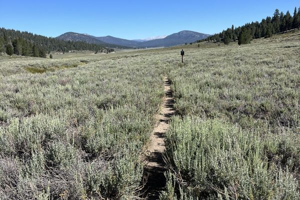 Heading into the Sierra Once More