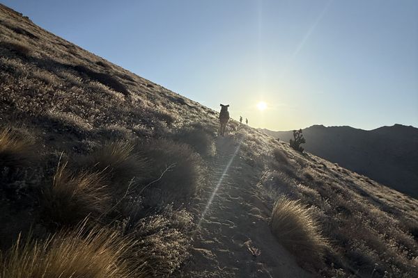 Final Desert Miles & Hello Sierra!