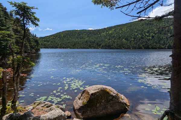Elevation and Terrain – Not the Same