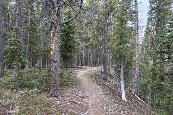 Day 14: Trail Crews, Mr. Bojangles, and Fresh Wilderness Pizza