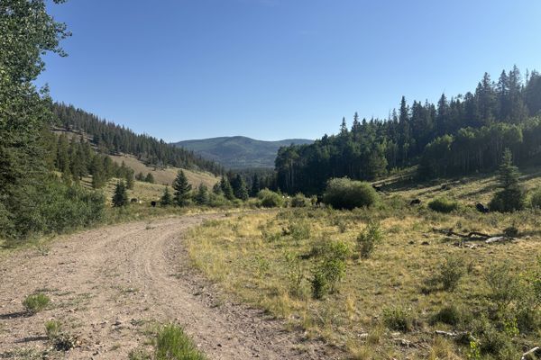 Day 15: Not a Big Fan of Ranch Land