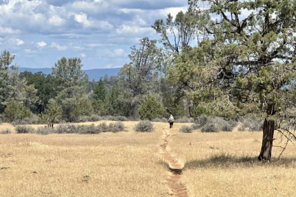Walking Among Volcanoes in North Cal