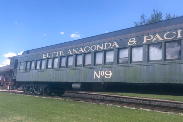 CDT JOY: Anaconda Adventures
