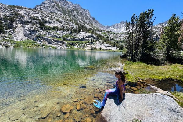 Mosquitoes Galore… Surviving Blood Donation in the Sierra