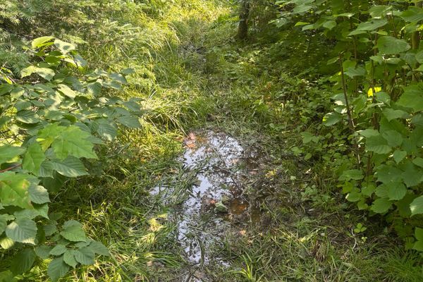 Days 2-4 on the Superior Hiking Trail: Conditions Have Been SHT