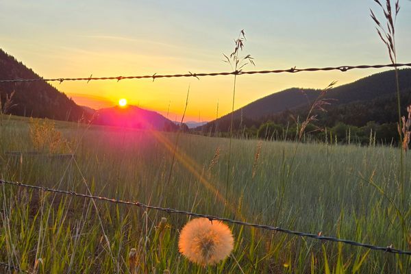 Alternates and Altruism on the CDT in Montana