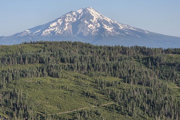 Back On The PCT Again in 2025