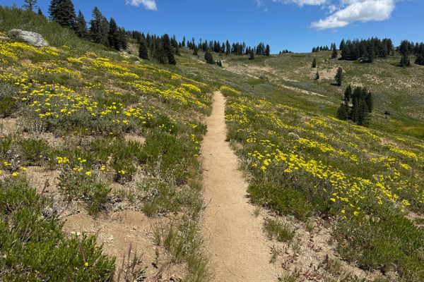Day 98 – Ashland