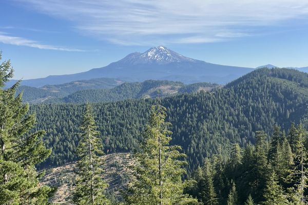 Over 5,100 Miles Hiked This Year Along the CYTC