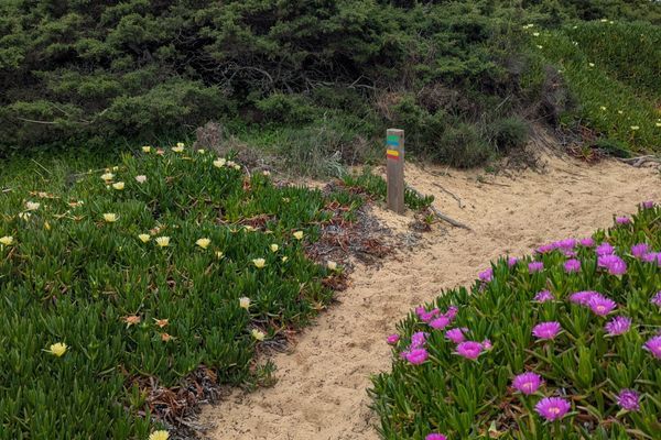 I Walked in the Rain and Fell in Love with Vinho Verde—Day 5 on Portugal’s Coastal Trail