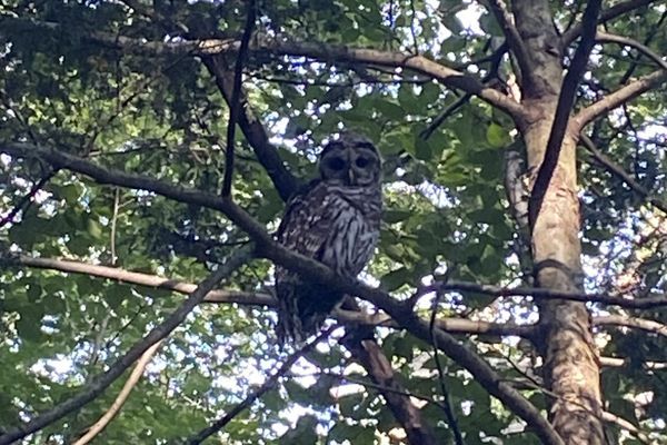 Days 49 – 53: Hitting the Mid Atlantic Blues