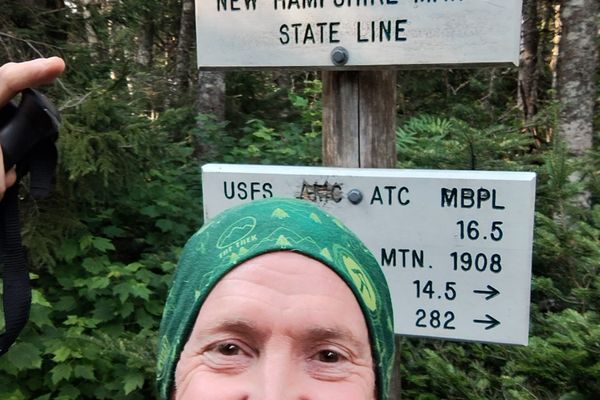 Maine On the Brain