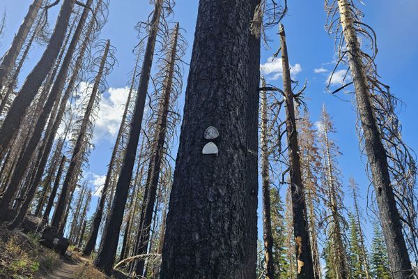 The Nipple, Fireworks, and Endless Lakes: PCT Days 94 to 98