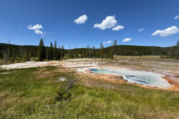 Wacky Yellowstone: Our first huckleberries and 30-miler, two bears and two hot springs in 24 hours, and three eruptions of Old Faithful