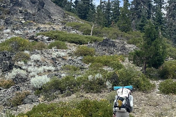 Bob is still on trail 🌲