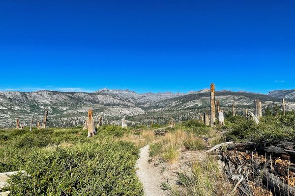 JMT Day 7 – When the trail says “stop,” you listen