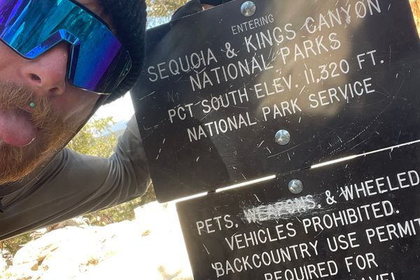 SKUNKS IN THE SIERRA