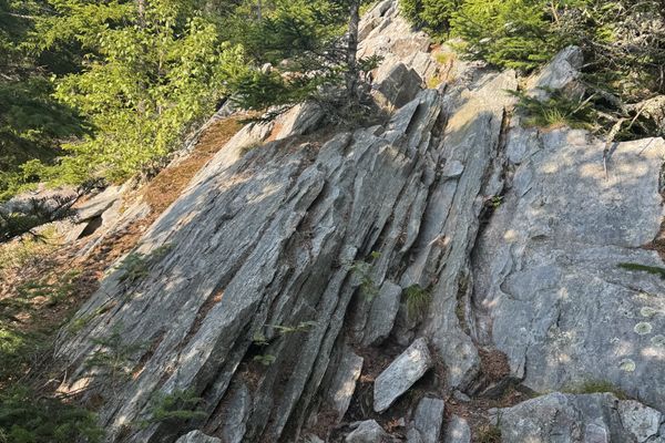 Vermont: no mud, no moose, no Bernie