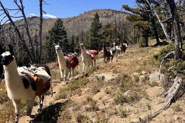 Day By Day: Roger’s Pass to Hungry Horse