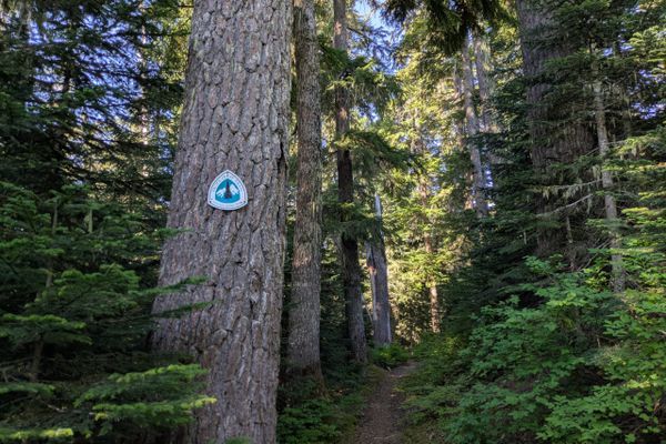 Officially A Thru-Hiker: A PCT Washington Recap