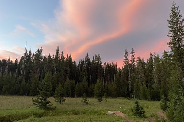 PCT week 10: Oregon Slackpacking and Skeeters