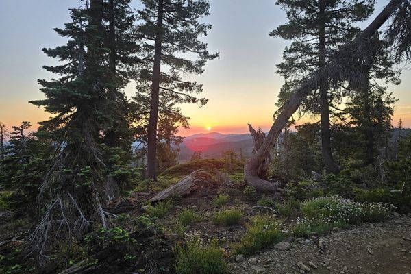 Toilets with WIFI, Self-Service Trail Magic, and LNT Violations: PCT Days 104 to 108