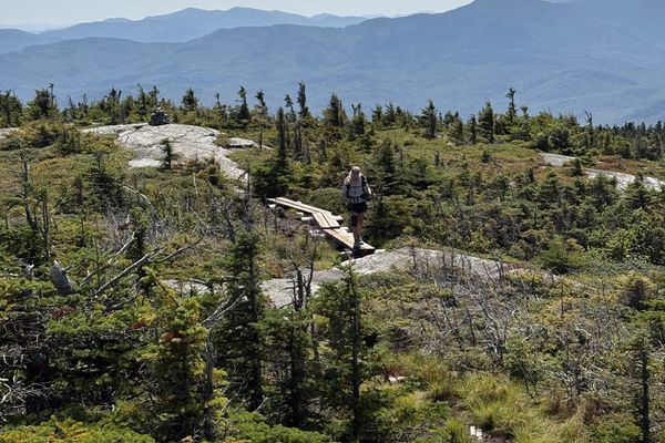 Southern Maine: You Think I Look Bad; You Should See the Moose
