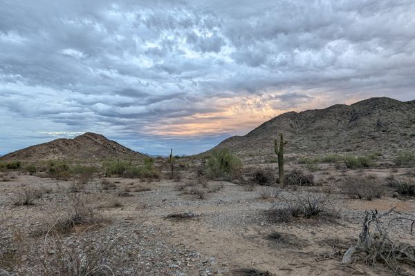 Arizona Trail: Homecoming