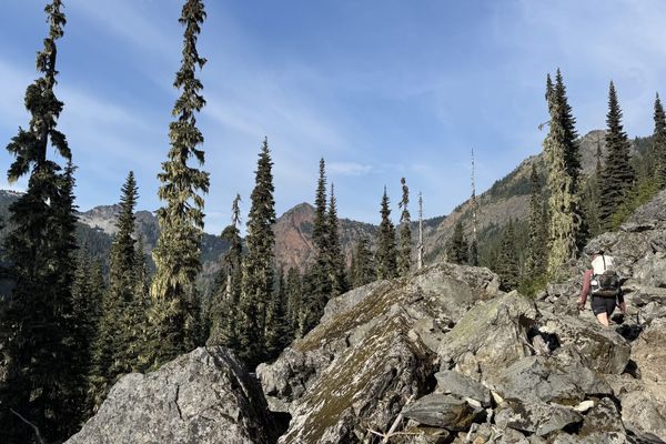Week 21: a moment of doubt, vampire hunting, and the return to trail