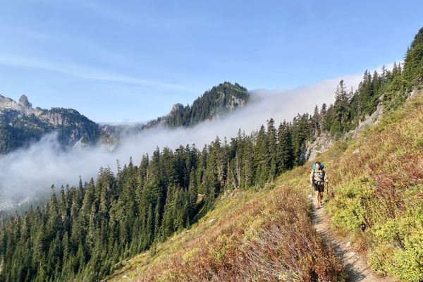 Week 22: the home straight