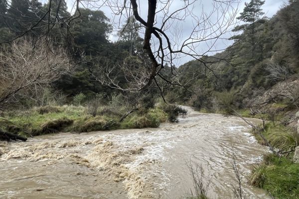 TA Day 0: River Crossing Training