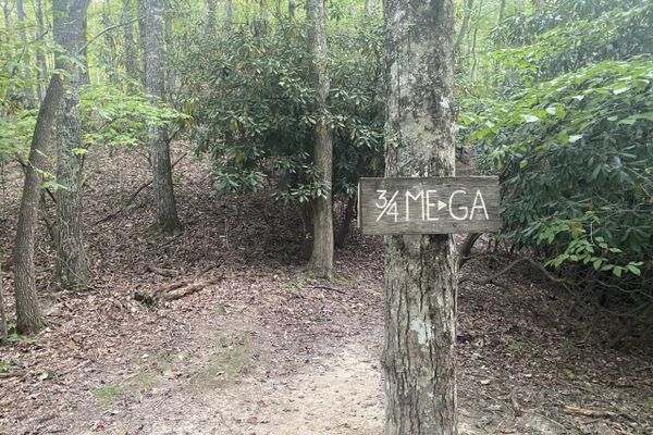 Days 105-108: 3/4s of the way to Georgia!