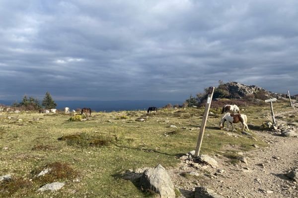 Day 109-110: Grayson Highlands to Damascus