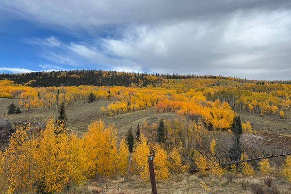 Cow patties and bright aspens: Salida to Lake City